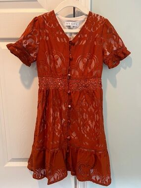 Ivy City Co Rust Lace Button-Down Dress